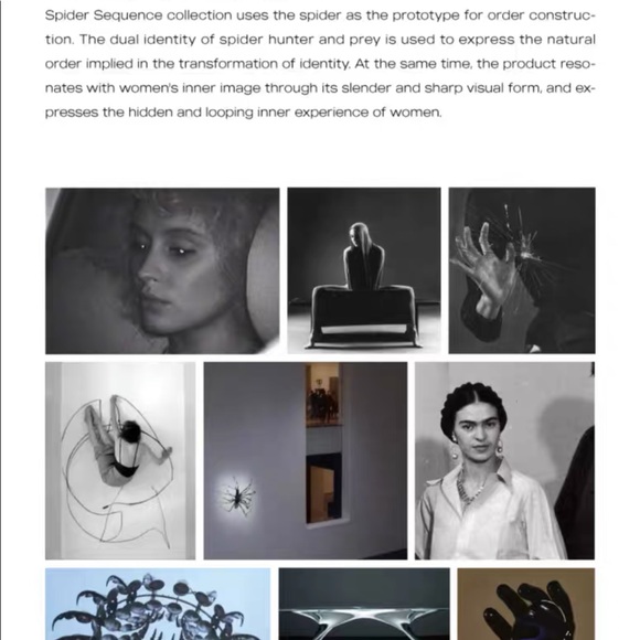 Stylish Rings - Spider Sequence - Picture 6 of 6